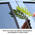 6pcs Stainless Steel Mirror Pillar Posts Trim For Honda Accord - millionsource