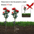 3 Heads Waterproof Solar Rose Flower LED Lights Garden Decor - millionsource