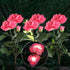 3 Heads Waterproof Solar Rose Flower LED Lights Garden Decor - millionsource