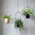 Boho Metal Hanging Plant Hanger Wall Plant Holder - millionsource