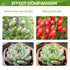 75/144 LED Grow Lights Hydroponic Plant Pane Lamp - millionsource