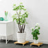 Multi Tier Wood Plant Stand Flower Pots Plant Shelves Rack Holder - millionsource