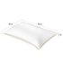 2 Pack Gusseted Goose Down Feather Sleep Pillows - millionsource