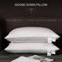 2 Pack Gusseted Goose Down Feather Sleep Pillows - millionsource