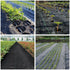 3' 4' 6 12' Garden Weed Barrier Landscape Fabric Ground Cover